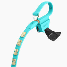 Load image into Gallery viewer, Boneflex Signature Spike Gold Leash
