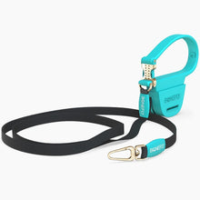 Load image into Gallery viewer, Flexfly
