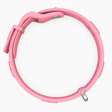 Load image into Gallery viewer, Boneflex Signature Silver Bones Collar
