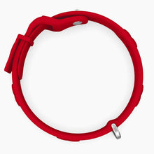 Load image into Gallery viewer, Boneflex Signature Silver Bones Collar
