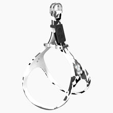 Load image into Gallery viewer, Boneflex Limited Silver Bone Harness
