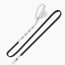 Load image into Gallery viewer, Boneflex Signature Spike Gold Leash

