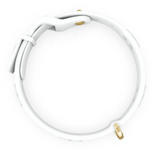 Load image into Gallery viewer, Boneflex Signature Spike Gold Collar
