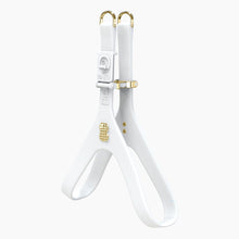 Load image into Gallery viewer, Boneflex Signature Spike Gold Harness

