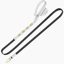 Load image into Gallery viewer, Boneflex Signature Gold Bones Leash
