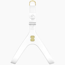 Load image into Gallery viewer, Boneflex Signature Spike Gold Harness
